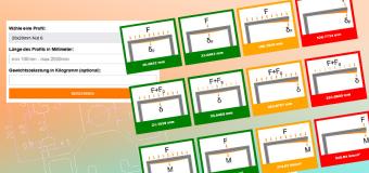 Nur 3 Eingaben – Online-Rechner zur Belastbarkeit von Konstruktionsprofilen