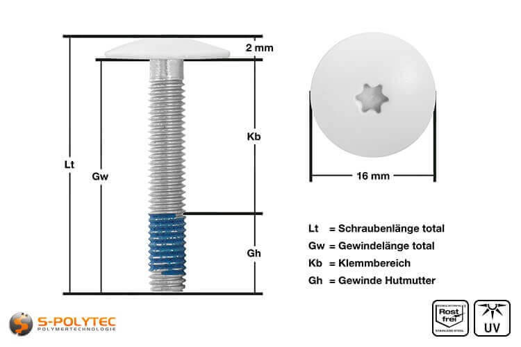 Ansicht der Abmessungen unserer Balkonschraube aus Edelstahl mit Kopflackierung in Reinweiß 