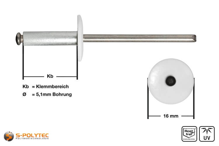 Fassadennieten in Weiß (RAL 9010) aus Aluminium in Detailansicht