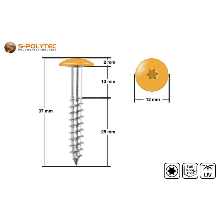 Fassadenschrauben 5,5 x 35mm aus rostfreiem A4 Edelstahl verfügen über einen lackierten Schraubenkopf in Goldgelb mit 12mm Durchmesser