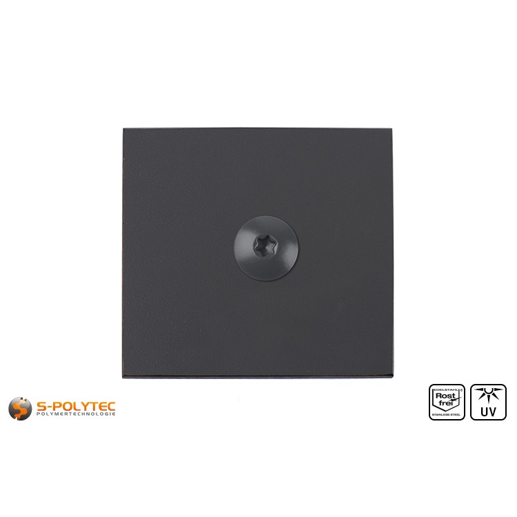 HPL Platte mit HPL Schraube Anhrazit