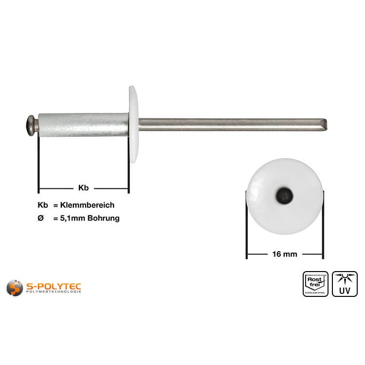 Fassadennieten in Weiß (RAL 9010) aus Aluminium in Detailansicht