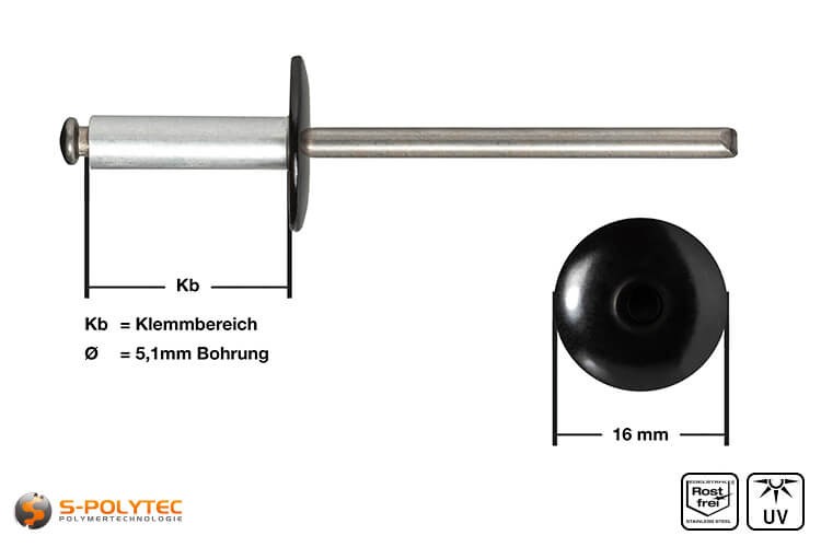 Fassadennieten in Schwarz (RAL 9005) aus Aluminium in Detailansicht