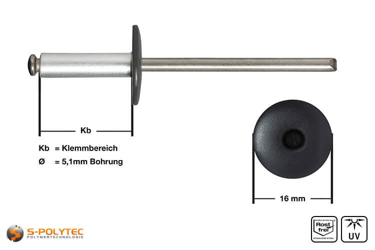 Fassadennieten in Anthrazit (RAL 7016) aus Aluminium in Detailansicht