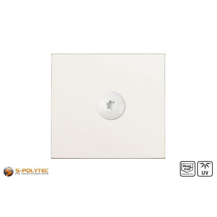 HPL Fassadeschraube 5,5 x 35mm in Cremeweiß