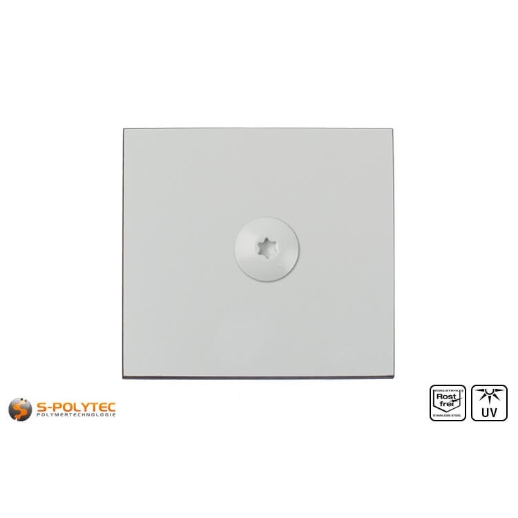 HPL Fassadeschraube 5,5 x 35mm in Lichtgrau