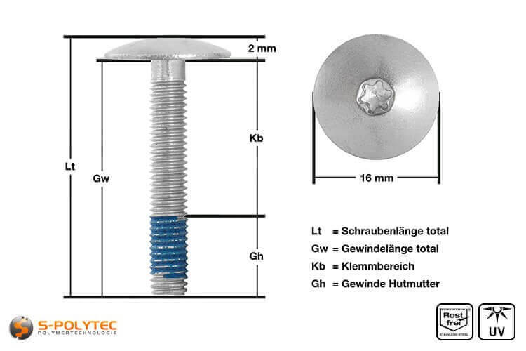 Ansicht der Abmessungen unserer Balkonschraube in Edelstahl ohne Kopflackierung