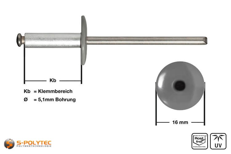 Fassadennieten in Staubgrau (RAL 7037) aus Aluminium in Detailansicht