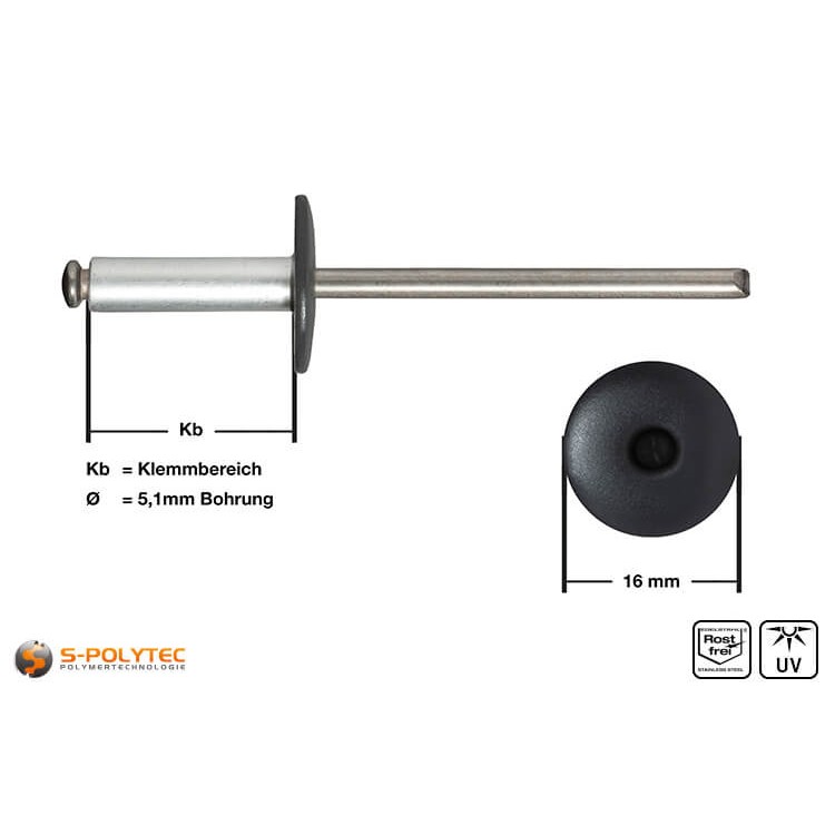 Fassadennieten in Anthrazit (RAL 7016) aus Aluminium in Detailansicht